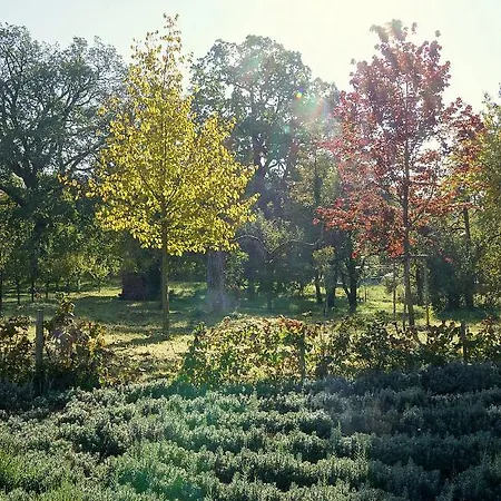 Flora Auf Gut Guntrams Hotel Schwarzau am Steinfelde