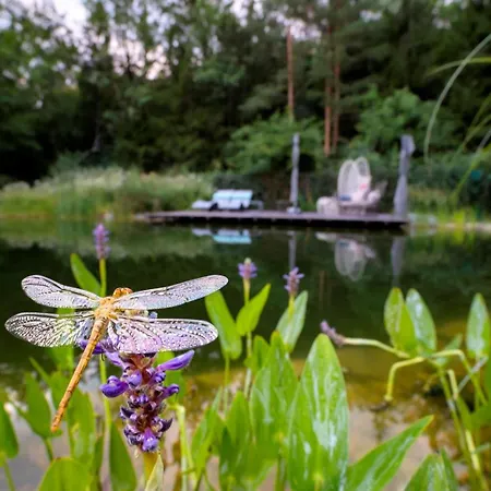 Flora Auf Gut Guntrams *