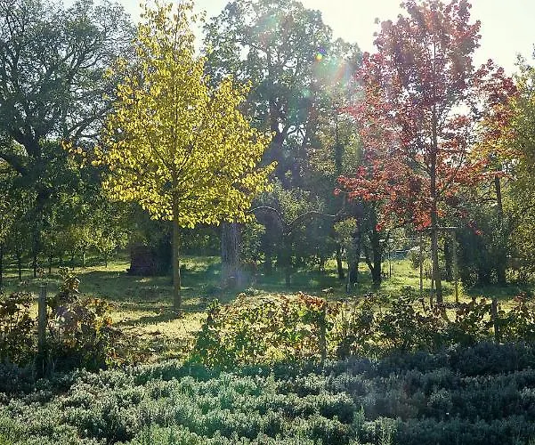 Flora Auf Gut Guntrams Hotel Schwarzau am Steinfelde