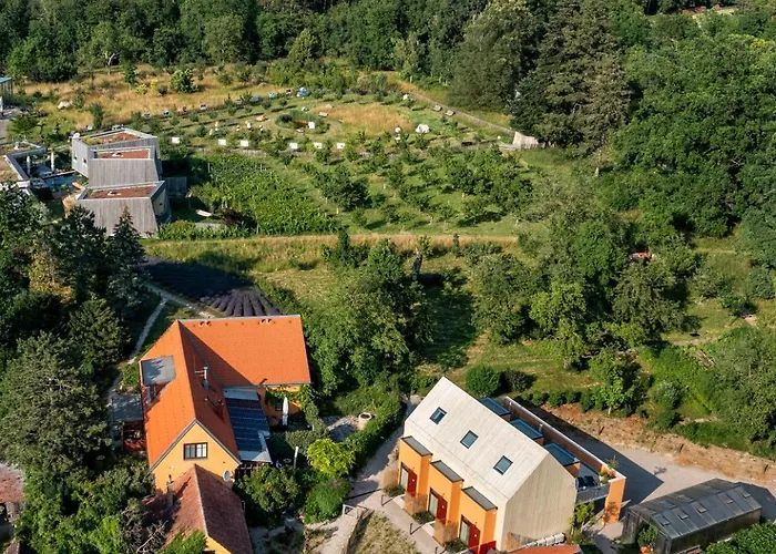 Flora Auf Gut Guntrams *