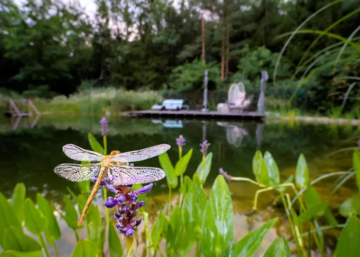 Flora Auf Gut Guntrams *
